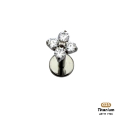 Khuyên Tai Titanium 0163