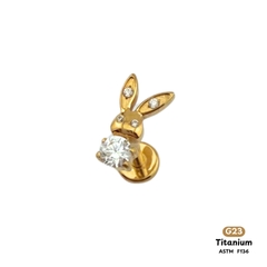 Khuyên Tai Titanium 0116