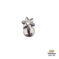 Khuyên Tai Titanium 0176