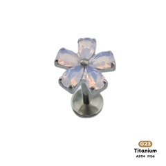 Khuyên Tai Titanium 0089