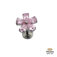 Khuyên Tai Titanium 0086