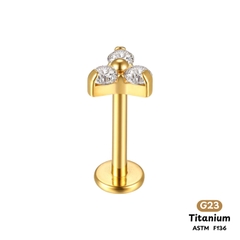 Khuyên Tai Titanium 0019