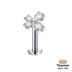 Khuyên Tai Titanium 0023