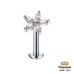 Khuyên Tai Titanium 0024