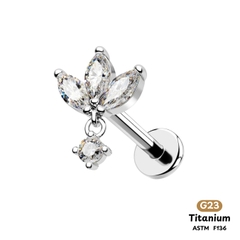 Khuyên Tai Titanium 0026