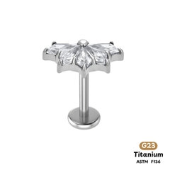 Khuyên Tai Titanium 0034