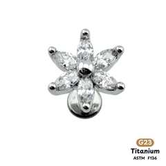 Khuyên Tai Titanium 0070
