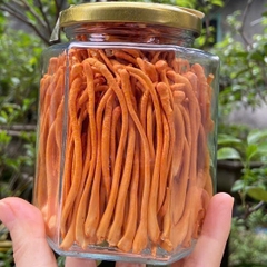 Nấm Đông Trùng Hạ Thảo Khô