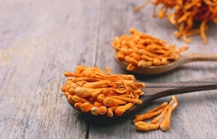 Nấm Đông Trùng Hạ Thảo Khô