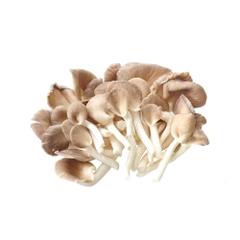 Nấm Bào Ngư Xám (Nấm Sò Nâu)