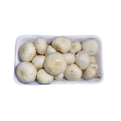 Nấm Mỡ Trắng Tươi