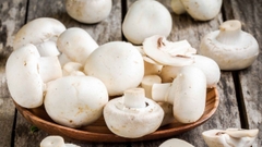 Nấm Mỡ Trắng Tươi