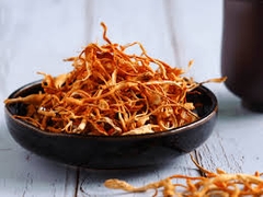 Nấm đông trùng hạ thảo khô ( 100g )
