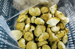 Nấm Hầu Thủ Khô