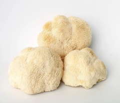 Nấm Hầu Thủ Tươi