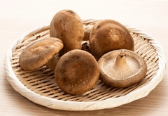 Nấm Hương ( Nấm Đông Cô )