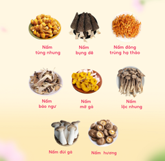 Set Dưỡng Sinh 8 Vị Nấm Quý