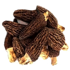 Nấm bụng dê khô loại VIP (100g)
