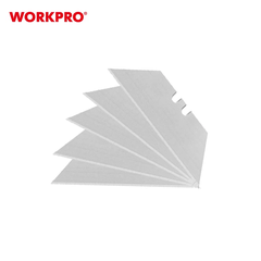 WP213004-001