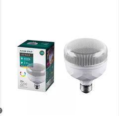 Bóng đèn Led 20W AKKO STAR 55153