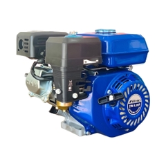 CLASSIC  DW-5.5HP MÁY NỔ