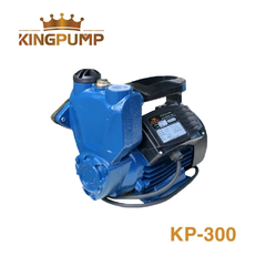 Máy bơm ly tâm 300W Kingpump KP-300