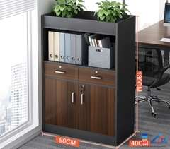 Tủ hồ sơ văn phòng thấp 2 ngăn kéo - TL 33