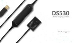 Sensor Runyes DS530