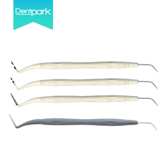 Cây trám thăm dò nha chu Dentpark