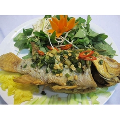 CÁ DIÊU HỒNG CHIÊN XÙ