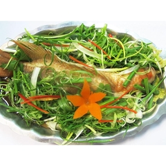 CÁ ĐIÊU HỒNG HẤP HỒNG KÔNG