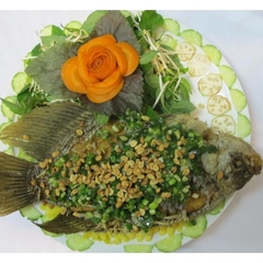 CÁ TAI TƯỢNG CHIÊN XÙ