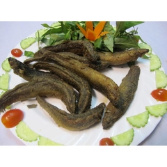 CÁ CHẠCH QUẾ CHIÊN GIÒN