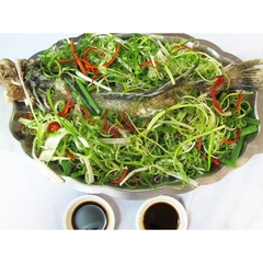 CÁ BÓNG MÚ HẤP HỒNG KÔNG