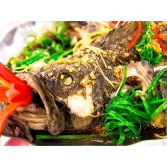 CÁ BÓNG MÚ HẤP TRIỀU CHÂU