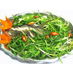 CÁ CHIM TRẮNG HẤP HỒNG KÔNG