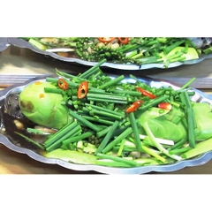 CÁ LÓC HẤP BẦU