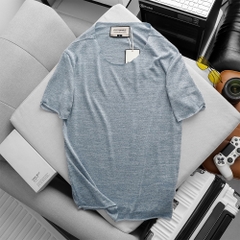 Áo Thun Fapas Regular Lion