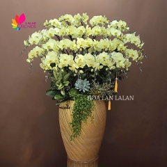 Lan hồ điệp xanh bơ 26 cành cao cấp - LHD1281