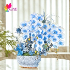 Lan hồ điệp xanh dương ghép nghệ thuật - LHD1240