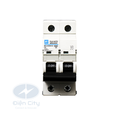 MCB (CB tép) Fuji Electric BCL63E0CG 2P 6kA
