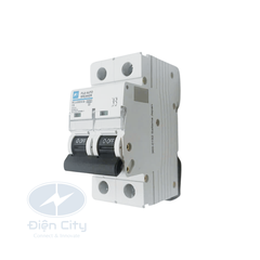 MCB (CB tép) Fuji Electric BCL63E0CG 2P 6kA