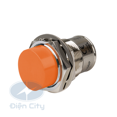 Cảm biến tiệm cận Autonics PRCMT30 phạm vi 15mm 12-24VDC