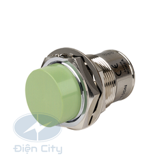 Cảm biến tiệm cận Autonics PRCM30 phạm vi 15mm 110-220VAC