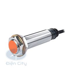 Cảm biến tiệm cận Autonics PRL18 phạm vi 5mm 110-220VAC