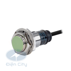 Cảm biến tiệm cận Autonics PRS12 phạm vi 2mm 12-24VDC