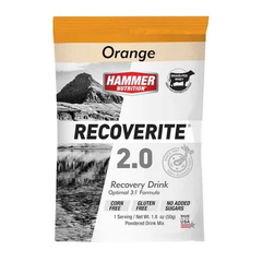 Sữa phục hồi cơ bắp Hammer Nutrition Recoverite - Giảm đau nhức sau khi tập luyện, xây cơ hiệu quả