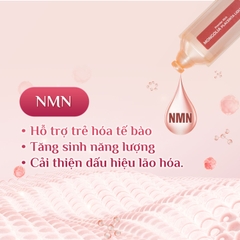 Nước Uống Nhau Thai Ngựa Chiến Mongolia Placenta Liquid Eikenbi [Hộp 30 ống 10ml]