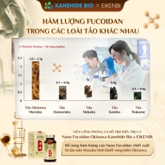Viên Uống Phòng & Hỗ Trợ Điều Trị Ung Thư Nano Fucoidan Okinawa Kanehide Bio x Eikenbi (Hộp 120 viên)
