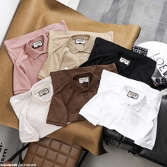 Polo Fapas Regular Income